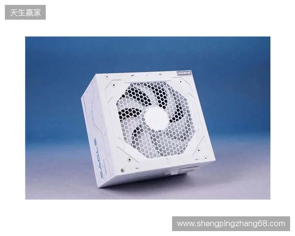 黑白双鹰，白金降临：技嘉猎鹰 冰猎鹰白金电源4月27日开售